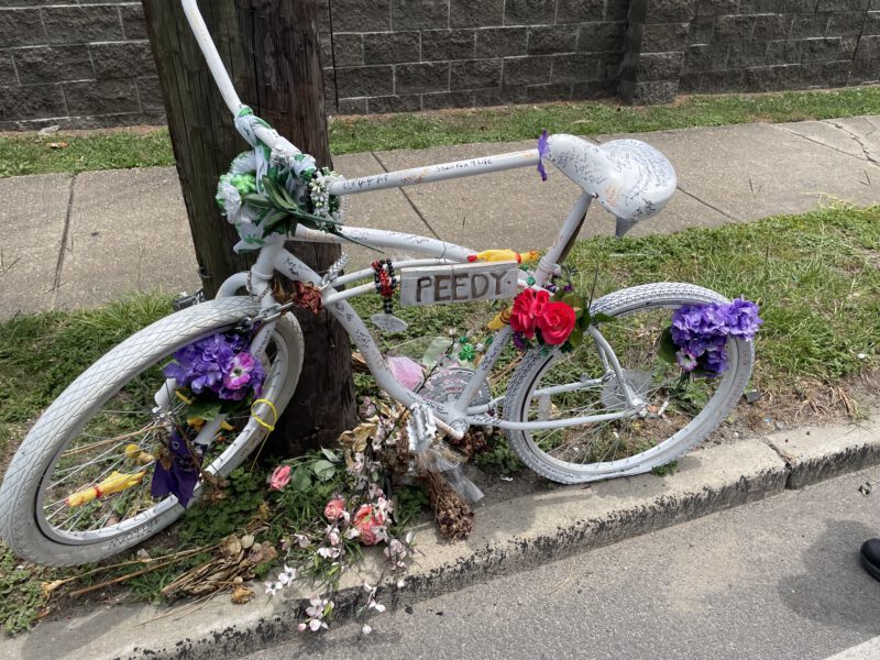 RalphBrooks_GhostBike